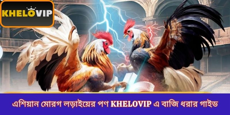 Asian cockfighting betting